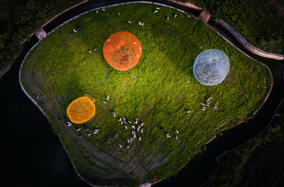 又到鳳羽染秋時(shí)，約您共赴一場(chǎng)美好的特別展覽！