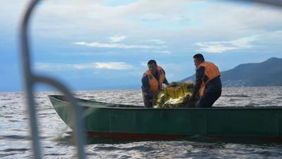 第二階段洱海魚類生態(tài)調(diào)控即將啟動(dòng)→