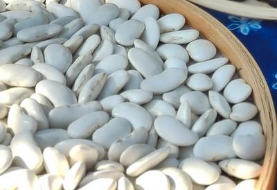 在大理，白芸豆的花样吃法等你来尝鲜