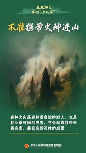 今日起，大理州進(jìn)入森林草原防火期，請(qǐng)牢記“十不準(zhǔn)”