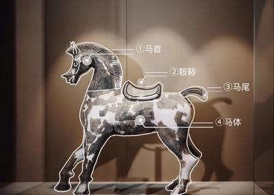 活动预告 | “风物寻踪·读懂大理”——“大理马”主题研学一日营开放报名！